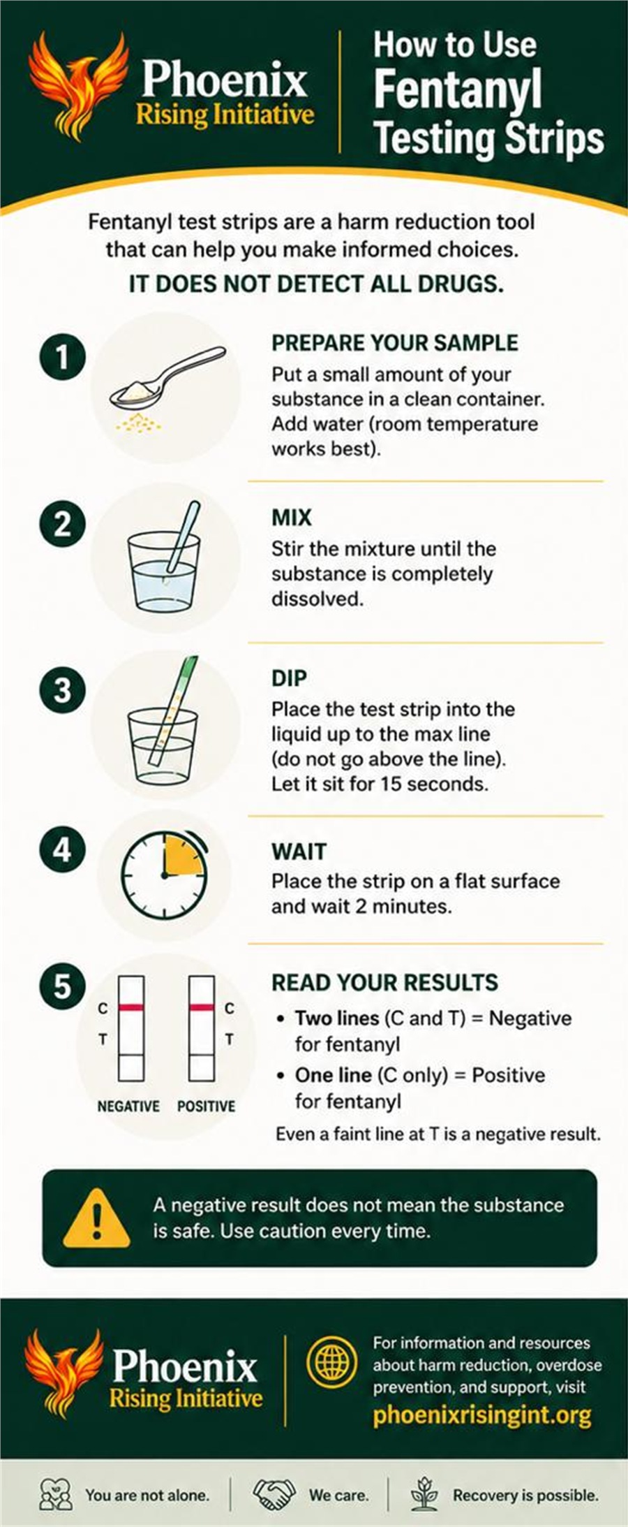 Fentanyl testing strip education resource preview